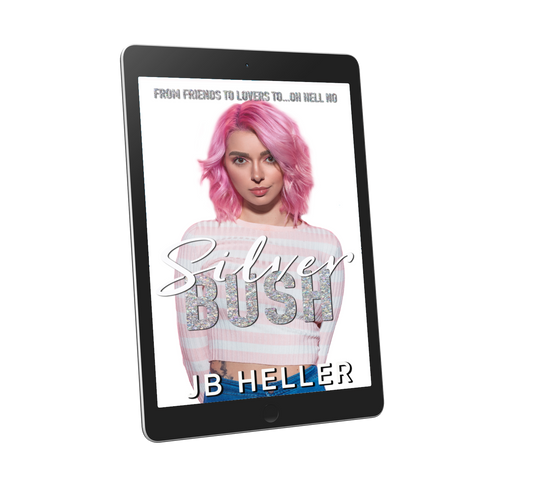 Silver Bush romantic comedy ebook